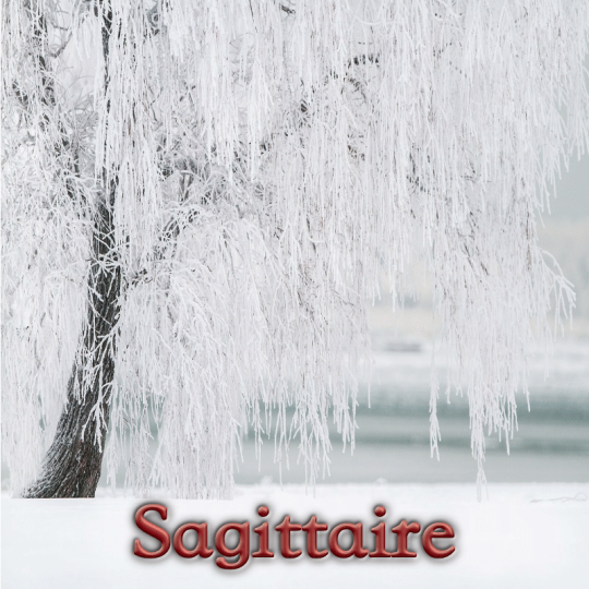 Sagittaire janvier 2025