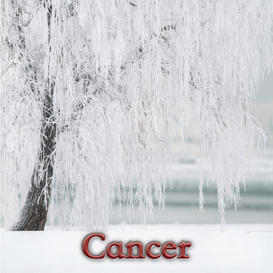 Cancer janvier 2025
