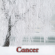 Cancer janvier 2025
