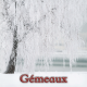 Gémeaux janvier 2025