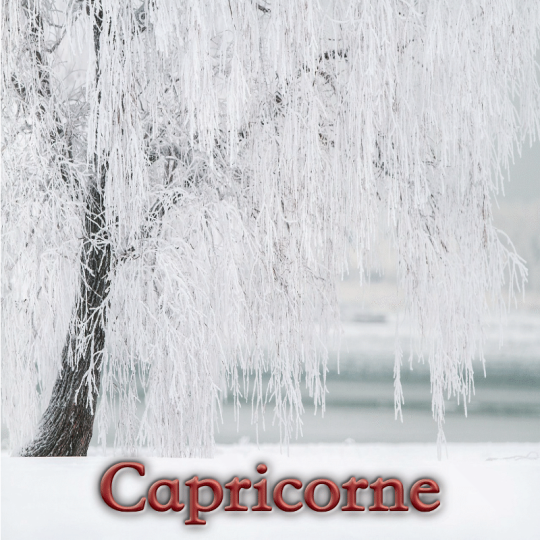 Capricorne janvier 2025