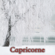 Capricorne janvier 2025
