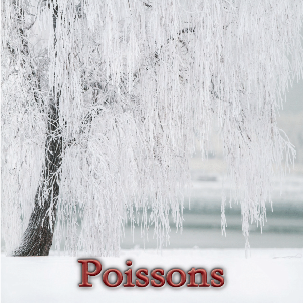 Poissons janvier 2025