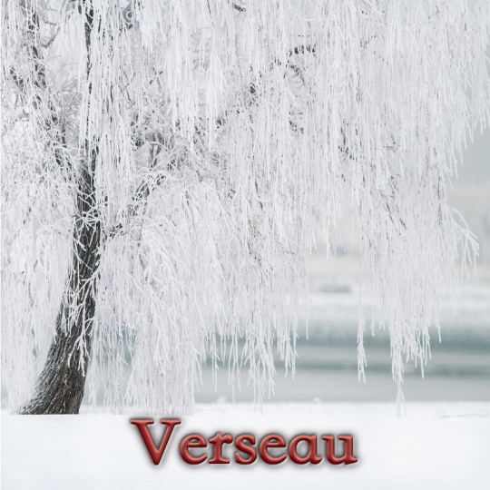 Verseau janvier 2025