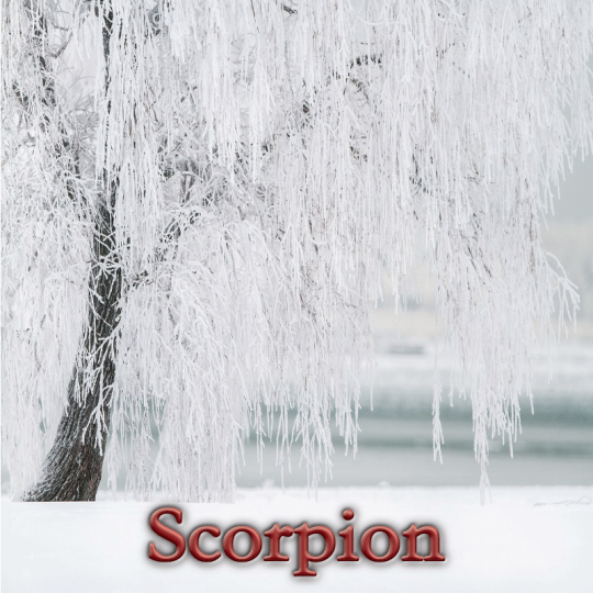Scorpion janvier 2025