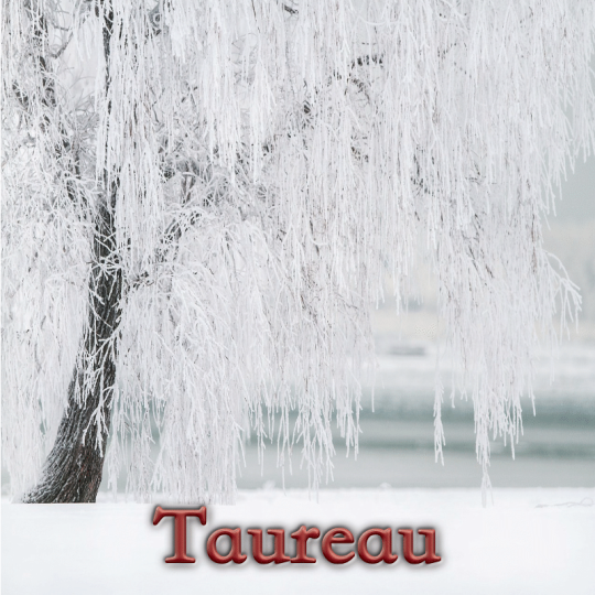 Taureau janvier 2025