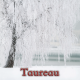 Taureau janvier 2025