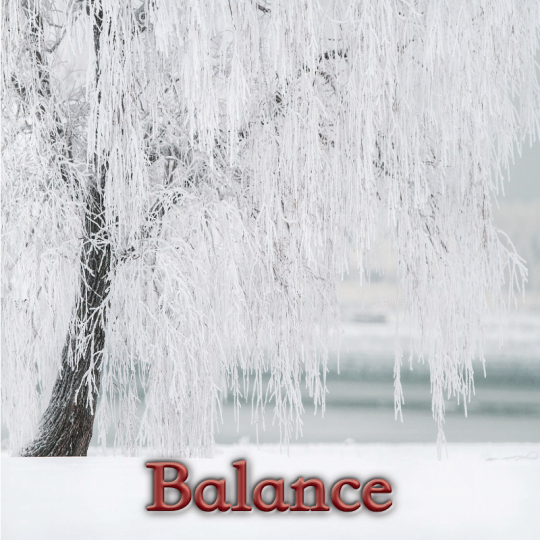 Balance janvier 2025