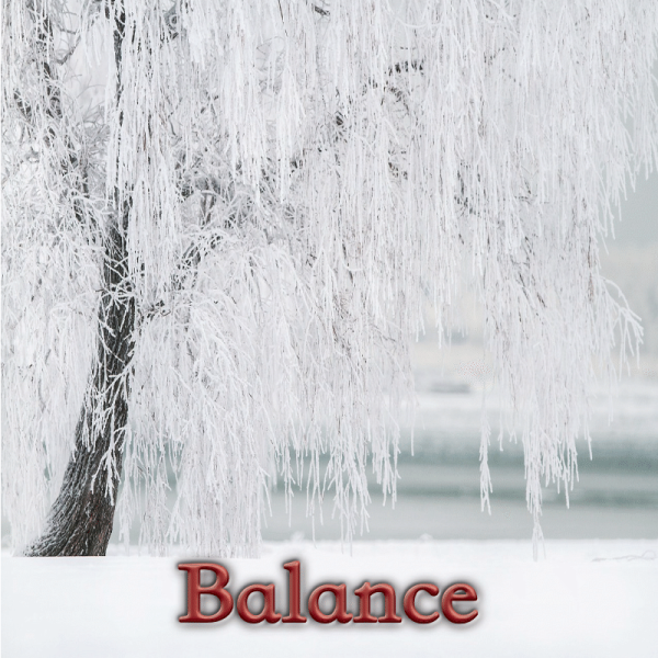 Balance janvier 2025