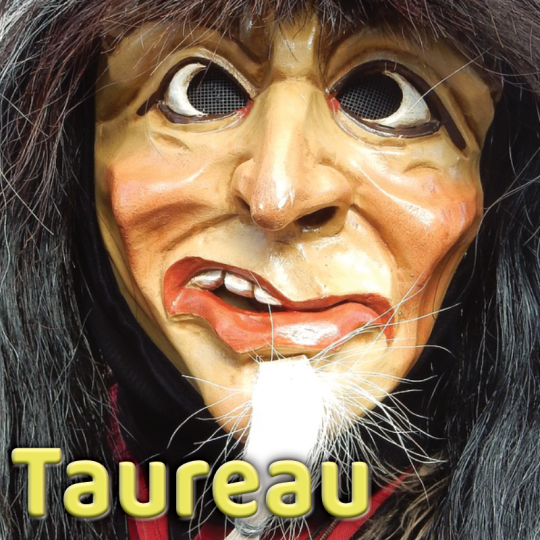 Taureau février 2025