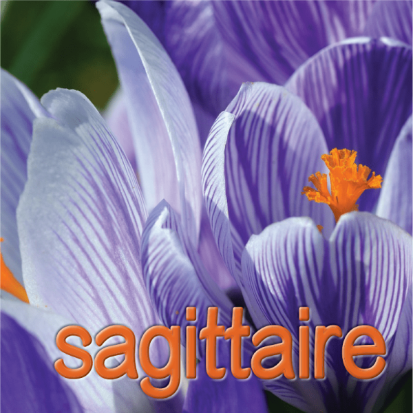 Sagittaire mars 2025