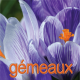 Gémeaux mars 2025