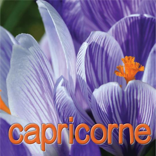 Capricorne mars 2025