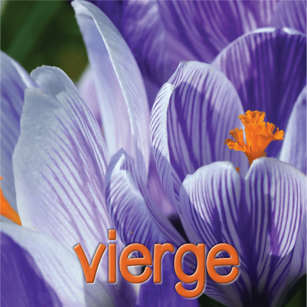 Vierge mars 2025