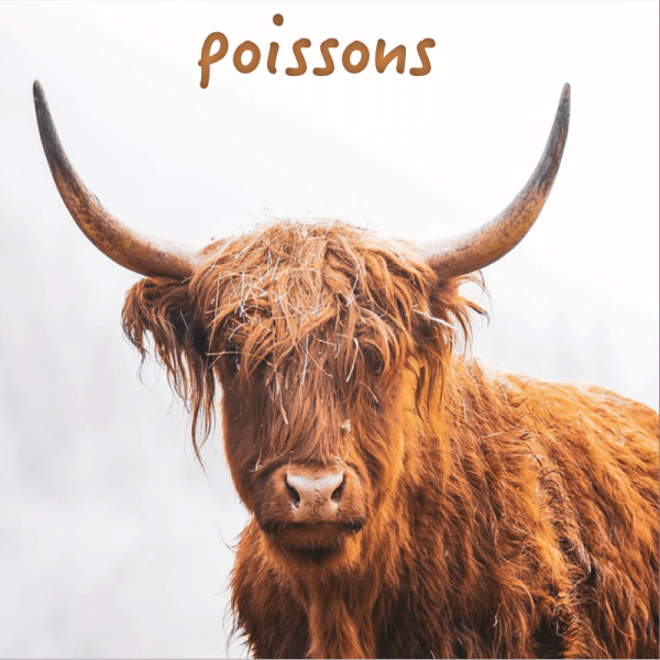 Poissons ~ Hors série - Projection 2025 partie 2