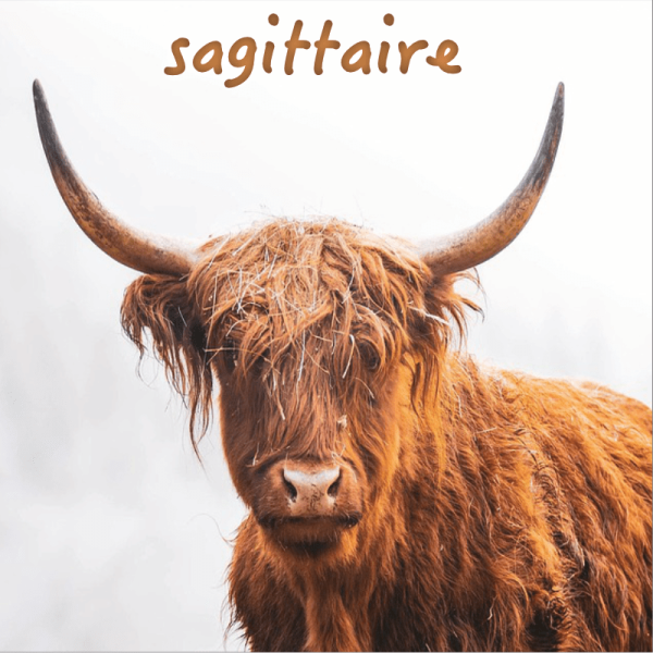 Sagittaire ~ Hors série - Projection 2025 partie 2