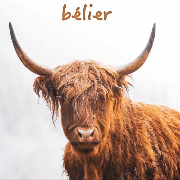 Bélier ~ Hors série - Projection 2025 partie 2