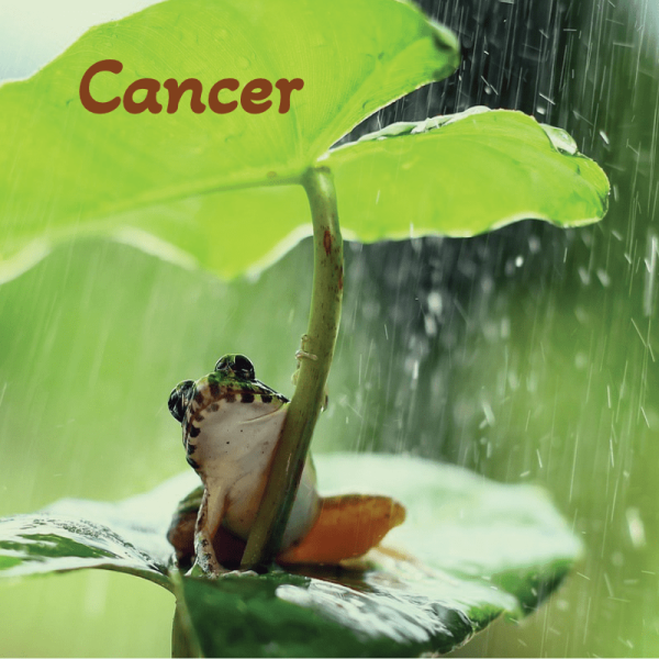 Cancer juillet 2025