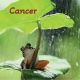 Cancer juillet 2025