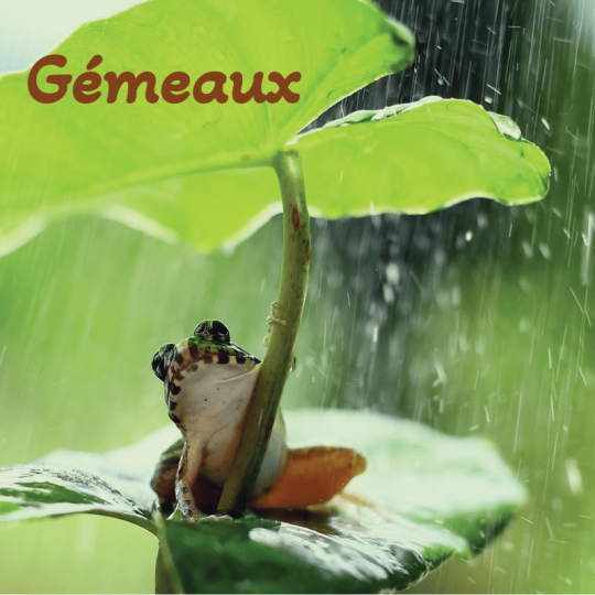 Gémeaux juillet 2025