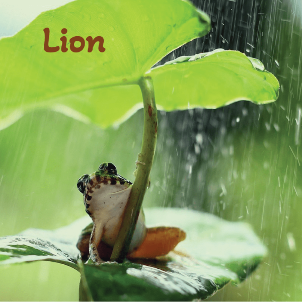 Lion juillet 2025