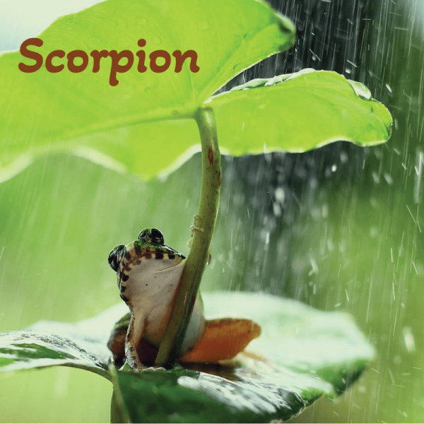 Scorpion juillet 2025