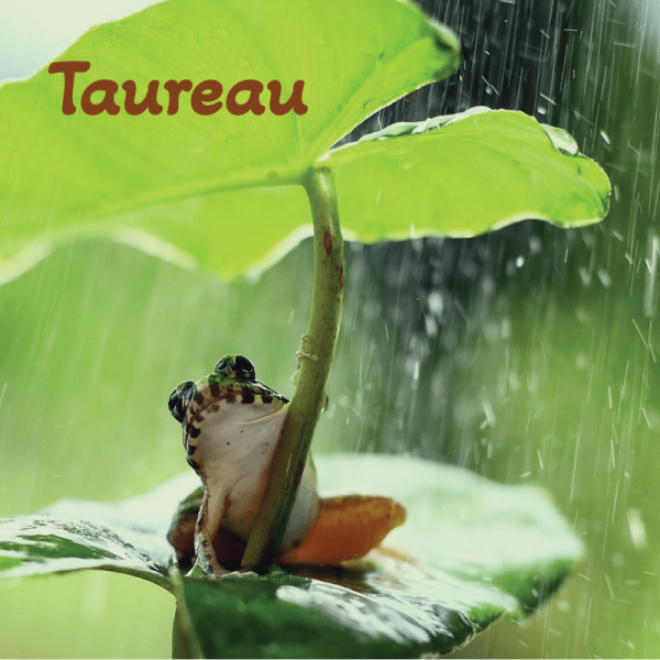 Taureau juillet 2025