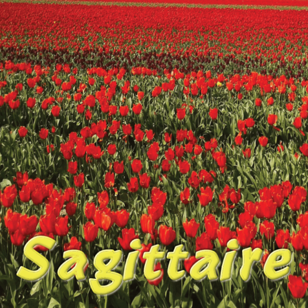 Sagittaire avril 2025