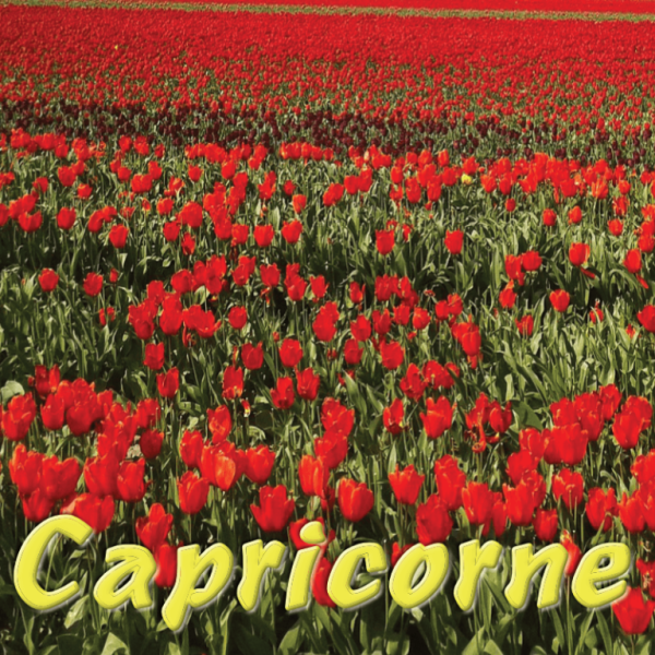Capricorne avril 2025