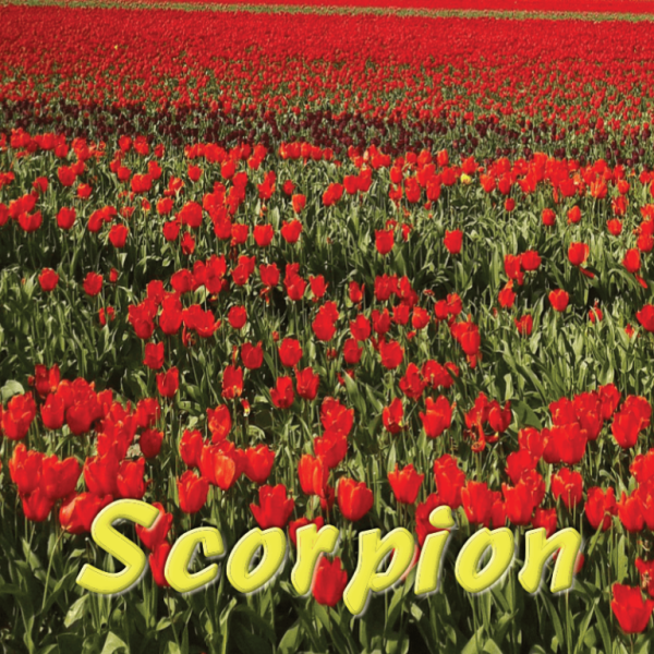 Scorpion avril 2025