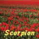 Scorpion avril 2025
