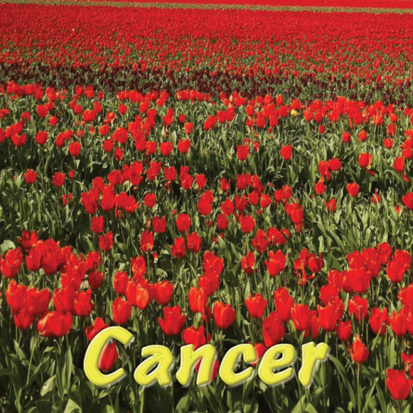 Cancer avril 2025