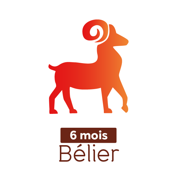 Abonnement extension vidéo 6 mois