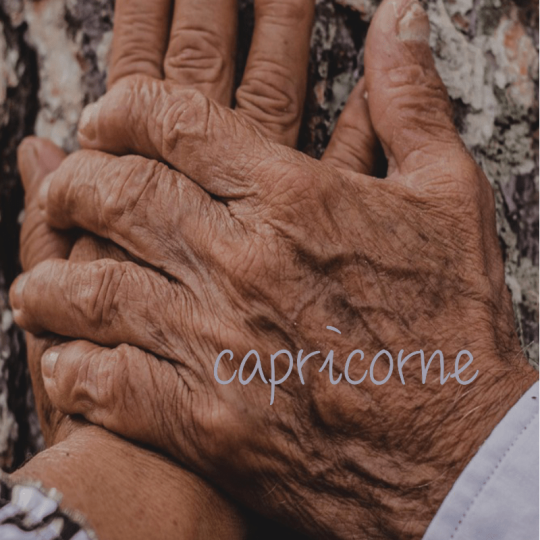 Capricorne Vie Sentimentale juillet - août 2025