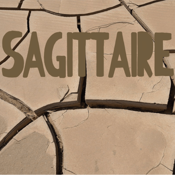 Sagittaire août 2025