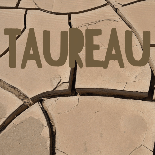 Taureau août 2025