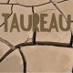 Taureau août 2025