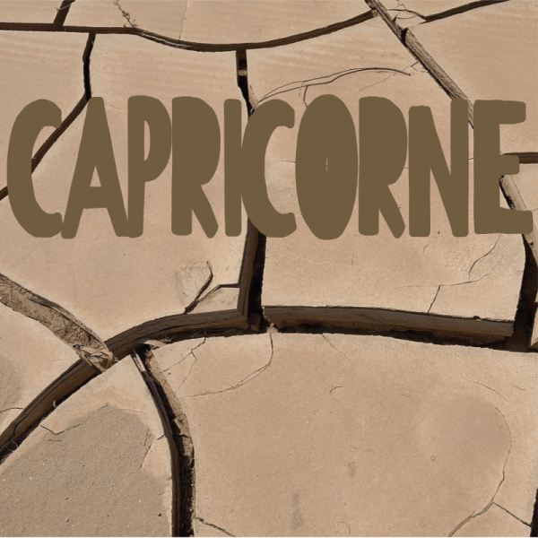 Capricorne août 2025