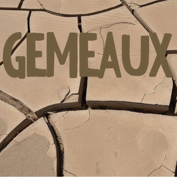 Gémeaux août 2025