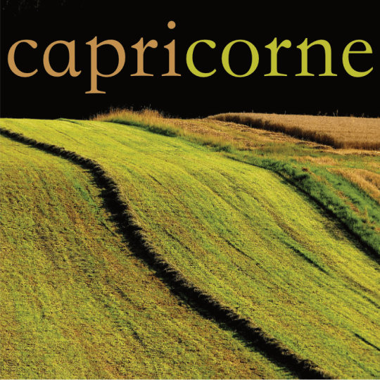 Capricorne septembre 2025