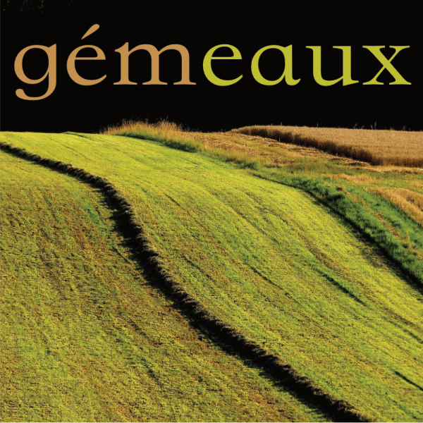 Gémeaux septembre 2025