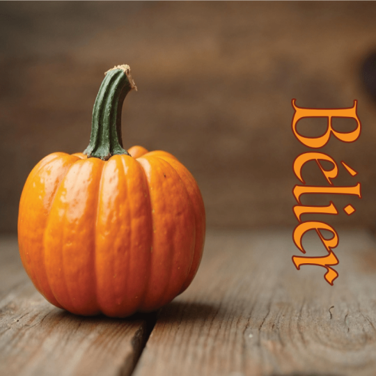 bélier octobre 2025