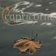 capricorne novembre 2025