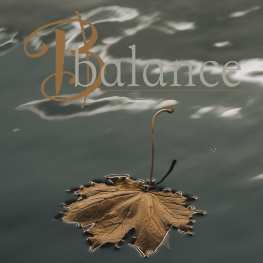 Balance novembre 2025