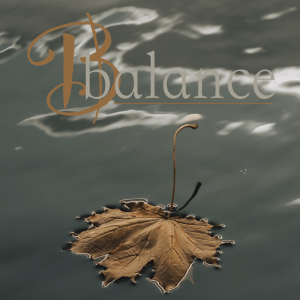 Balance novembre 2025