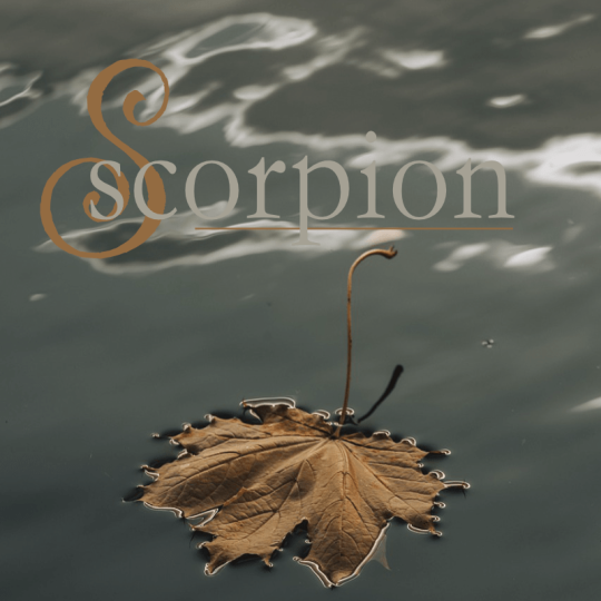 scorpion novembre 2025