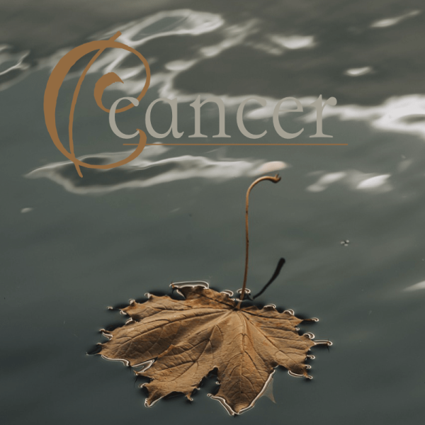 cancer novembre 2025