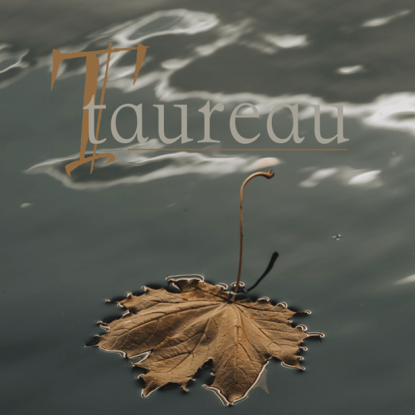 taureau novembre 2025