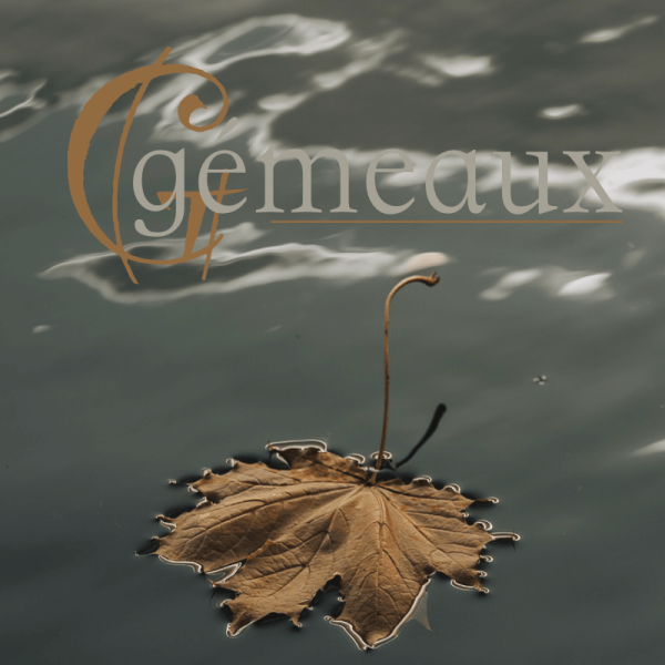 gémeaux novembre 2025