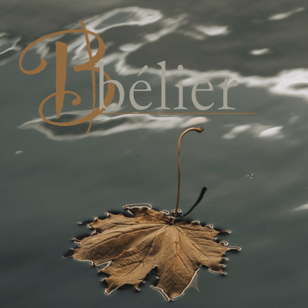 bélier novembre 2025